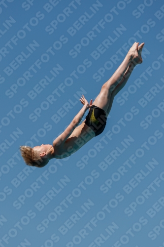 2017 - 8. Sofia Diving Cup 2017 - 8. Sofia Diving Cup 03012_27251.jpg