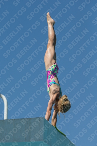 2017 - 8. Sofia Diving Cup 2017 - 8. Sofia Diving Cup 03012_27270.jpg
