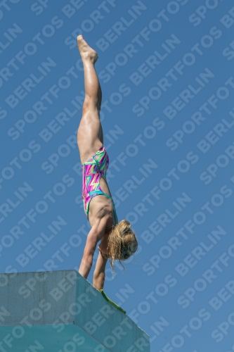 2017 - 8. Sofia Diving Cup 2017 - 8. Sofia Diving Cup 03012_27272.jpg