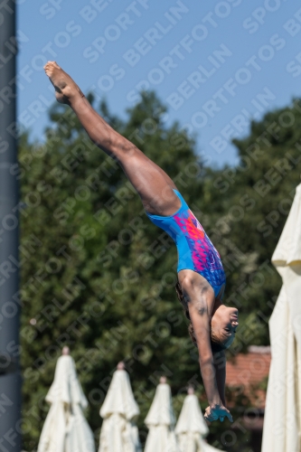 2017 - 8. Sofia Diving Cup 2017 - 8. Sofia Diving Cup 03012_27287.jpg