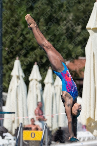 2017 - 8. Sofia Diving Cup 2017 - 8. Sofia Diving Cup 03012_27288.jpg