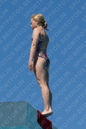 2017 - 8. Sofia Diving Cup 2017 - 8. Sofia Diving Cup 03012_27309.jpg