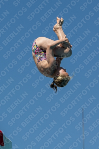 2017 - 8. Sofia Diving Cup 2017 - 8. Sofia Diving Cup 03012_27311.jpg