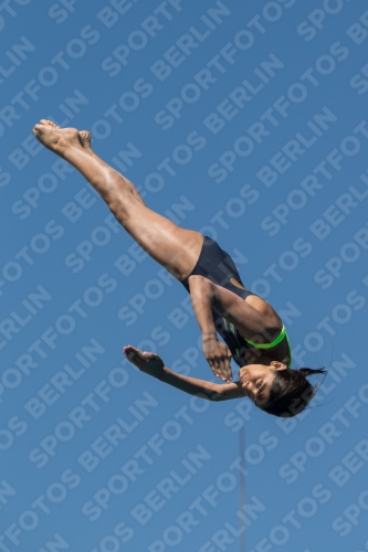 2017 - 8. Sofia Diving Cup 2017 - 8. Sofia Diving Cup 03012_27320.jpg