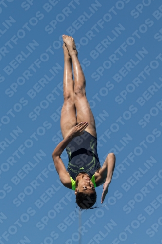 2017 - 8. Sofia Diving Cup 2017 - 8. Sofia Diving Cup 03012_27321.jpg