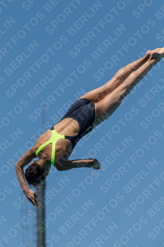 2017 - 8. Sofia Diving Cup 2017 - 8. Sofia Diving Cup 03012_27322.jpg