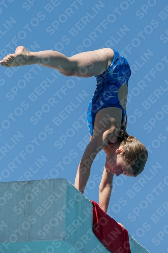 2017 - 8. Sofia Diving Cup 2017 - 8. Sofia Diving Cup 03012_27333.jpg