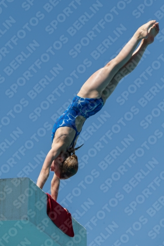 2017 - 8. Sofia Diving Cup 2017 - 8. Sofia Diving Cup 03012_27336.jpg