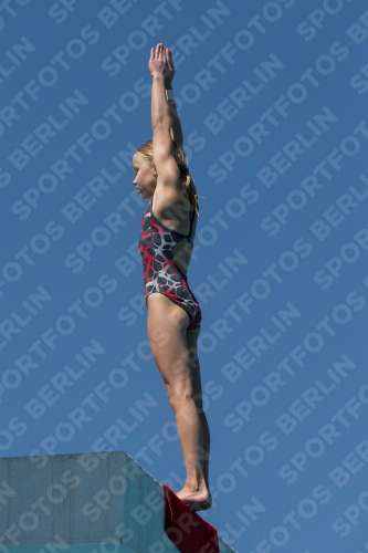 2017 - 8. Sofia Diving Cup 2017 - 8. Sofia Diving Cup 03012_27361.jpg