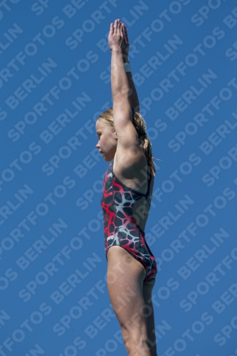 2017 - 8. Sofia Diving Cup 2017 - 8. Sofia Diving Cup 03012_27362.jpg