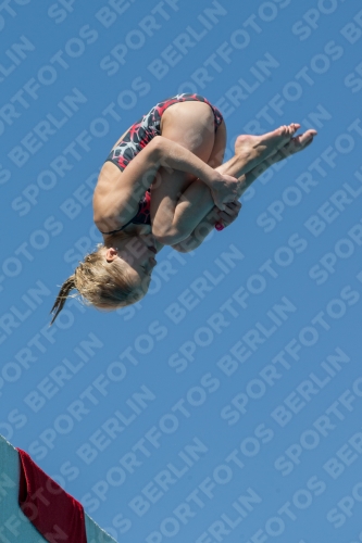 2017 - 8. Sofia Diving Cup 2017 - 8. Sofia Diving Cup 03012_27364.jpg