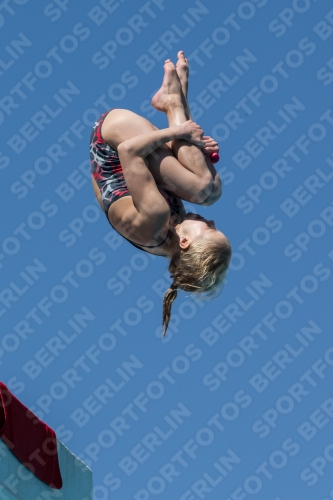 2017 - 8. Sofia Diving Cup 2017 - 8. Sofia Diving Cup 03012_27365.jpg