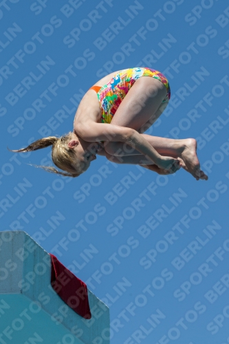 2017 - 8. Sofia Diving Cup 2017 - 8. Sofia Diving Cup 03012_27391.jpg