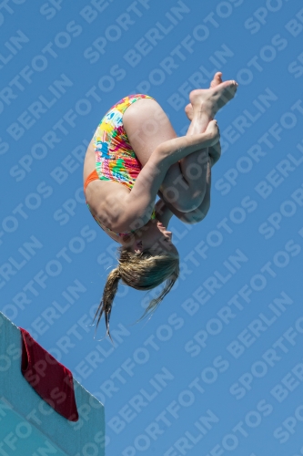 2017 - 8. Sofia Diving Cup 2017 - 8. Sofia Diving Cup 03012_27392.jpg
