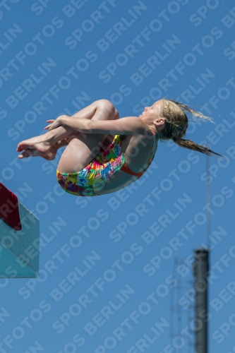 2017 - 8. Sofia Diving Cup 2017 - 8. Sofia Diving Cup 03012_27393.jpg