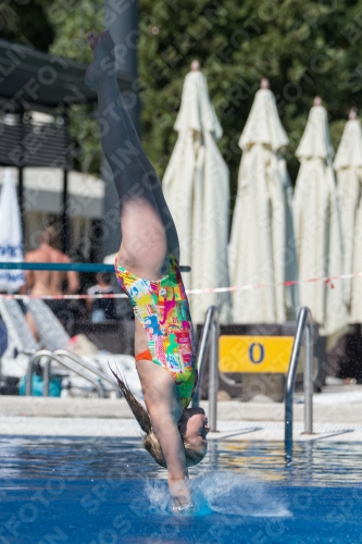 2017 - 8. Sofia Diving Cup 2017 - 8. Sofia Diving Cup 03012_27394.jpg