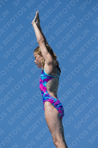 2017 - 8. Sofia Diving Cup 2017 - 8. Sofia Diving Cup 03012_27431.jpg