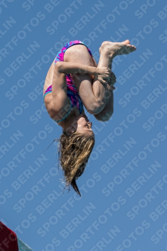 2017 - 8. Sofia Diving Cup 2017 - 8. Sofia Diving Cup 03012_27432.jpg