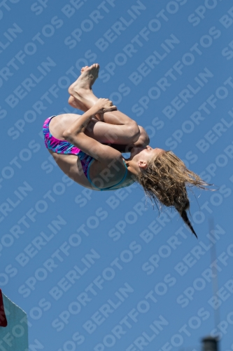 2017 - 8. Sofia Diving Cup 2017 - 8. Sofia Diving Cup 03012_27433.jpg