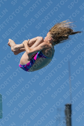 2017 - 8. Sofia Diving Cup 2017 - 8. Sofia Diving Cup 03012_27434.jpg