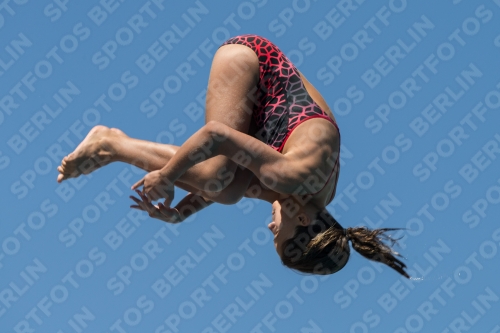 2017 - 8. Sofia Diving Cup 2017 - 8. Sofia Diving Cup 03012_27447.jpg