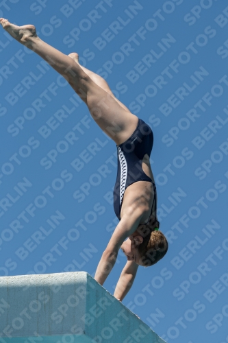 2017 - 8. Sofia Diving Cup 2017 - 8. Sofia Diving Cup 03012_27464.jpg