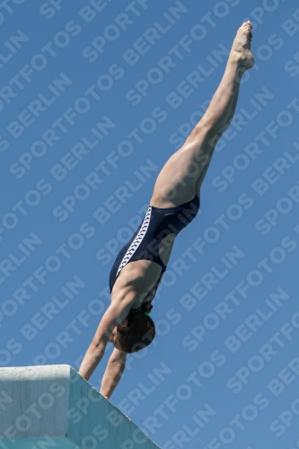 2017 - 8. Sofia Diving Cup 2017 - 8. Sofia Diving Cup 03012_27466.jpg