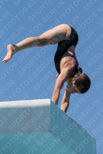 2017 - 8. Sofia Diving Cup 2017 - 8. Sofia Diving Cup 03012_27482.jpg