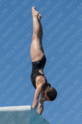 2017 - 8. Sofia Diving Cup 2017 - 8. Sofia Diving Cup 03012_27487.jpg