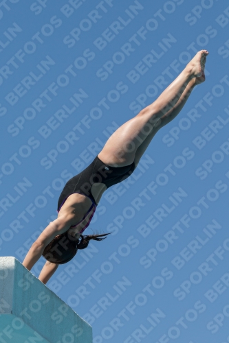 2017 - 8. Sofia Diving Cup 2017 - 8. Sofia Diving Cup 03012_27497.jpg