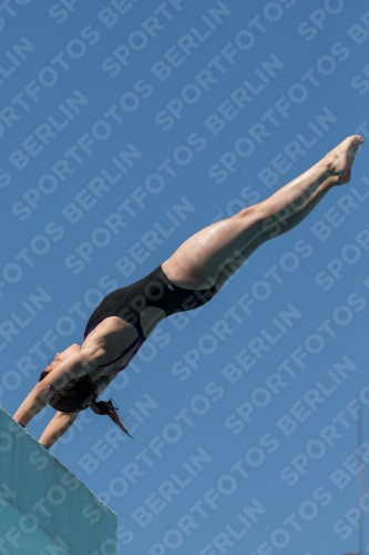 2017 - 8. Sofia Diving Cup 2017 - 8. Sofia Diving Cup 03012_27498.jpg