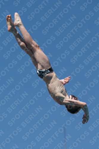 2017 - 8. Sofia Diving Cup 2017 - 8. Sofia Diving Cup 03012_27513.jpg
