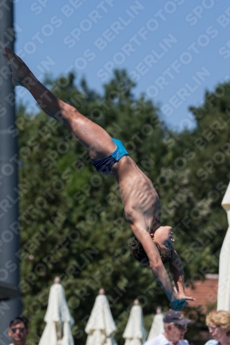 2017 - 8. Sofia Diving Cup 2017 - 8. Sofia Diving Cup 03012_27615.jpg