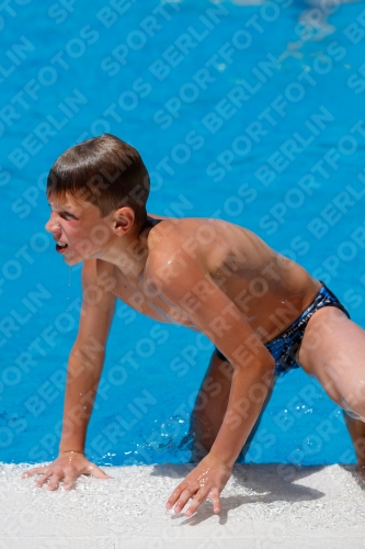 2017 - 8. Sofia Diving Cup 2017 - 8. Sofia Diving Cup 03012_27626.jpg