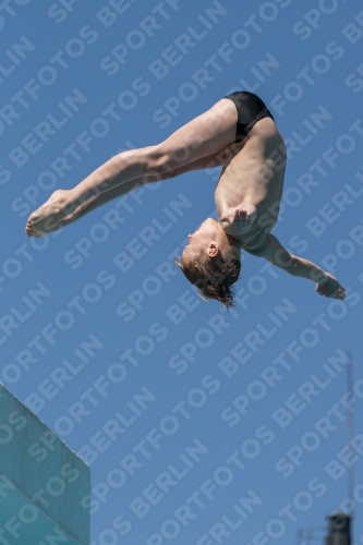 2017 - 8. Sofia Diving Cup 2017 - 8. Sofia Diving Cup 03012_27691.jpg
