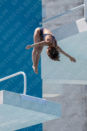 2017 - 8. Sofia Diving Cup 2017 - 8. Sofia Diving Cup 03012_27730.jpg