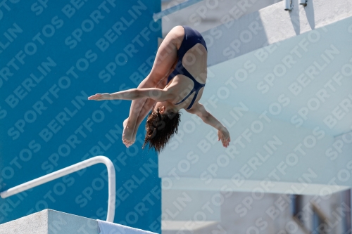 2017 - 8. Sofia Diving Cup 2017 - 8. Sofia Diving Cup 03012_27731.jpg