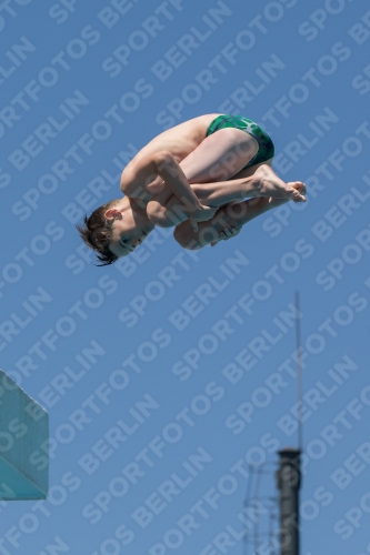 2017 - 8. Sofia Diving Cup 2017 - 8. Sofia Diving Cup 03012_27746.jpg