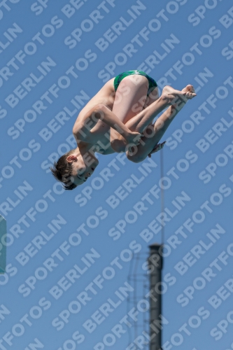 2017 - 8. Sofia Diving Cup 2017 - 8. Sofia Diving Cup 03012_27747.jpg