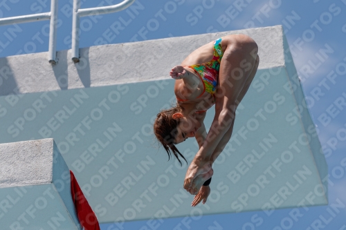 2017 - 8. Sofia Diving Cup 2017 - 8. Sofia Diving Cup 03012_27753.jpg