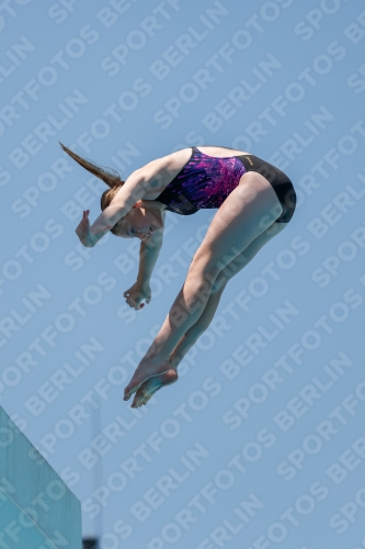 2017 - 8. Sofia Diving Cup 2017 - 8. Sofia Diving Cup 03012_27757.jpg
