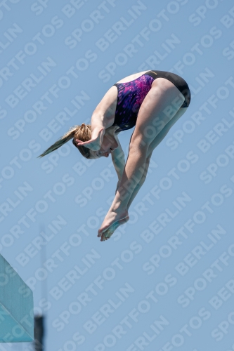2017 - 8. Sofia Diving Cup 2017 - 8. Sofia Diving Cup 03012_27758.jpg