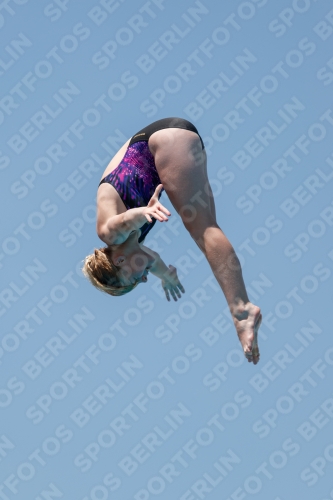2017 - 8. Sofia Diving Cup 2017 - 8. Sofia Diving Cup 03012_27759.jpg