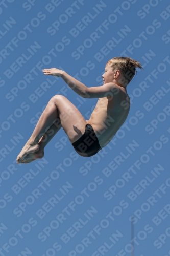 2017 - 8. Sofia Diving Cup 2017 - 8. Sofia Diving Cup 03012_27782.jpg