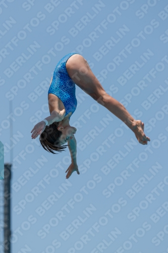 2017 - 8. Sofia Diving Cup 2017 - 8. Sofia Diving Cup 03012_27794.jpg
