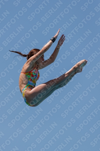 2017 - 8. Sofia Diving Cup 2017 - 8. Sofia Diving Cup 03012_27849.jpg