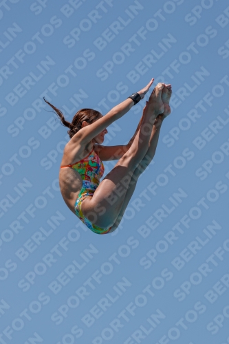 2017 - 8. Sofia Diving Cup 2017 - 8. Sofia Diving Cup 03012_27850.jpg