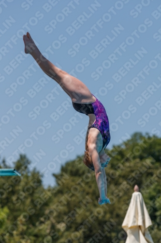2017 - 8. Sofia Diving Cup 2017 - 8. Sofia Diving Cup 03012_27864.jpg