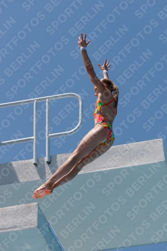 2017 - 8. Sofia Diving Cup 2017 - 8. Sofia Diving Cup 03012_27875.jpg