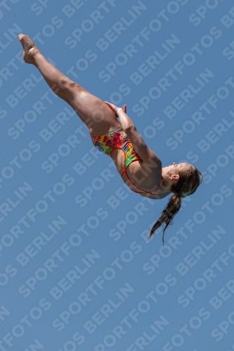 2017 - 8. Sofia Diving Cup 2017 - 8. Sofia Diving Cup 03012_27881.jpg